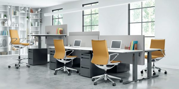 PLIMODE - Imagen 2