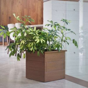 CUBO-IMITACION-MADERA