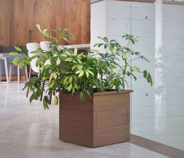 CUBO-IMITACION-MADERA
