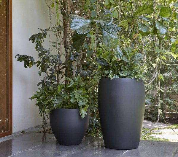 POT