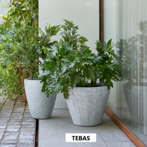 TEBAS-METATE